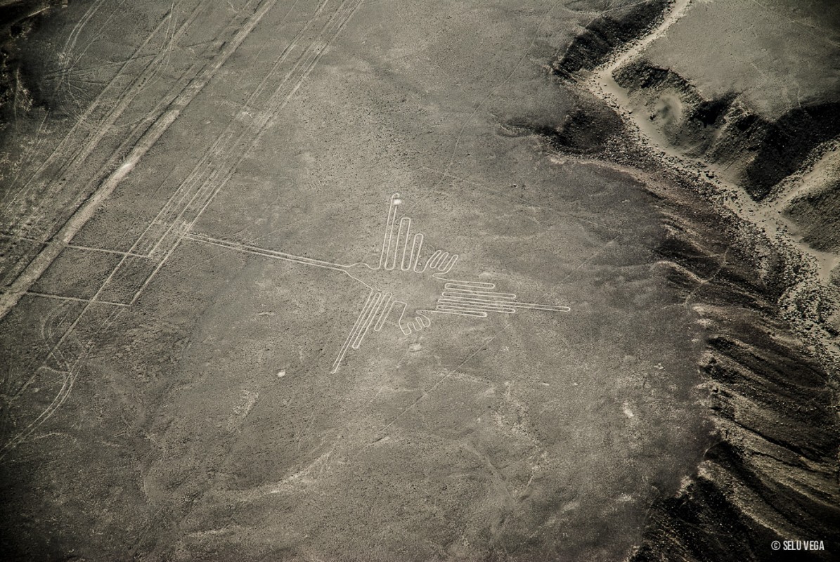 Colibrí Nazca